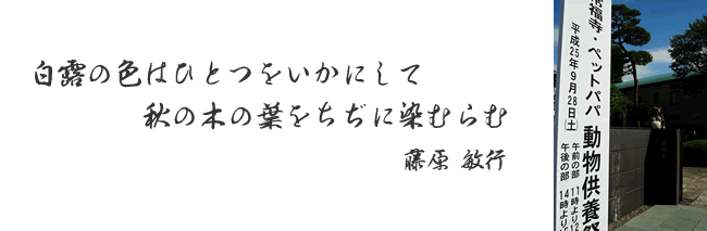 白露の色はひとつをいかにして秋の木の葉をちぢに染むらむ・・・藤原　敏行