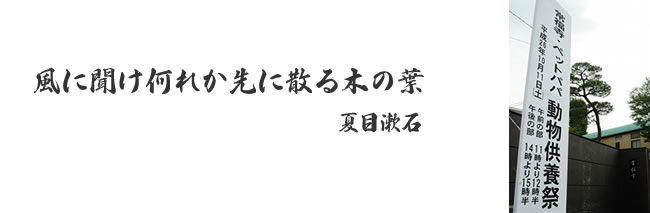 穏やかな１日でした