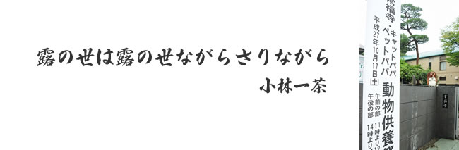 供養祭エントランス