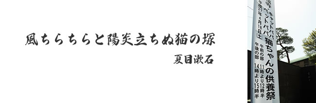 「春らしいお天気でした・・・」