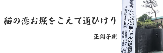 「猫ちゃんの供養祭エントランス」