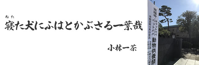 「供養祭エントランス」