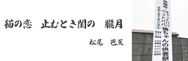 「猫ちゃんの供養祭エントランス」