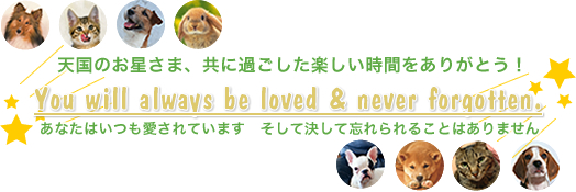 天国のお星さま、共に過ごした楽しい時間をありがとう!