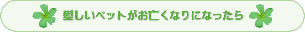 愛しいペットがお亡くなりになったら