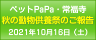 ペットPaPa・キャットPaPa・常福寺　2020年度　動物供養祭のご報告