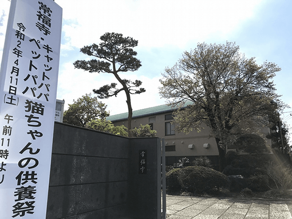 常福寺・キャットPaPa・ペットPaPa・猫ちゃん供養祭