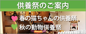 供養祭のご案内