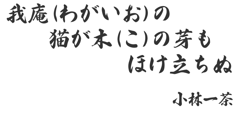 我庵（わがいお）の猫が木（こ）の芽もほけ立ちぬ